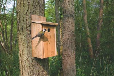 Medio Ambiente instala y restaura cajas-nido en Zonas de Especial Protección para Aves